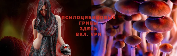 ECSTASY Абдулино