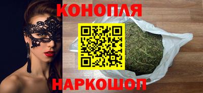 стафф Шебекино