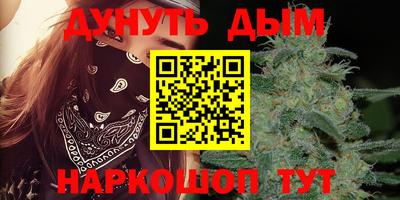 стафф Шебекино
