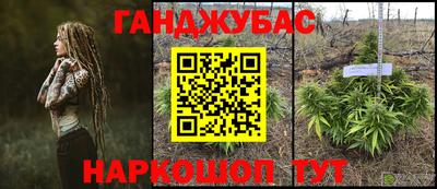 стафф Шебекино