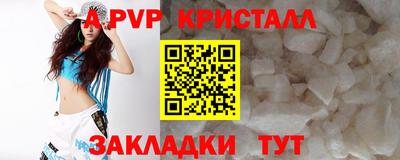 стафф Шебекино