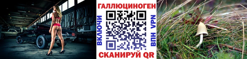 Псилоцибиновые грибы Psilocybe Новокузнецк