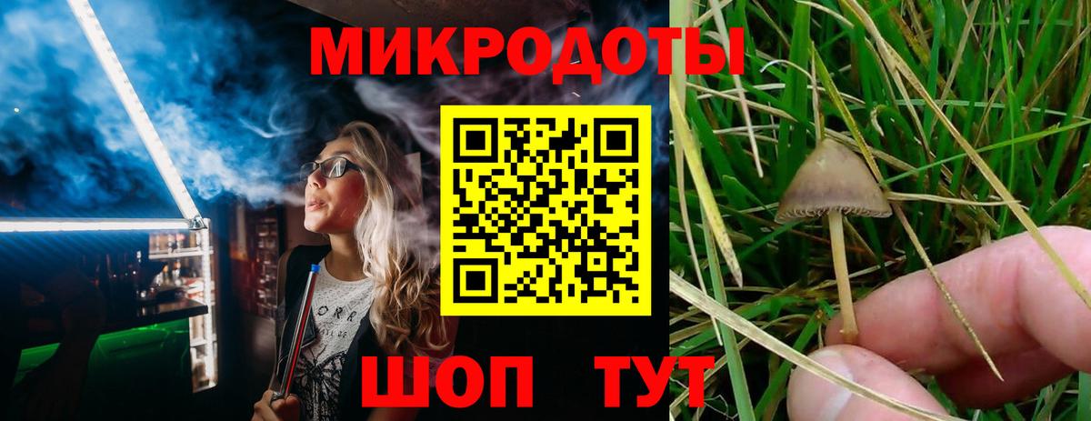 Галлюциногенные грибы мицелий  Вход с VPN  Новокузнецк 